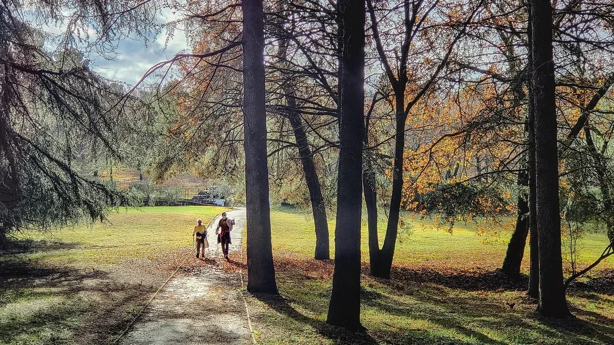 Una passeggiata autunnale in famiglia: cosa osservare lungo il percorso