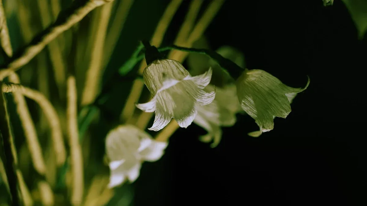Fiori di carta crespa: come costruire una composizione facile