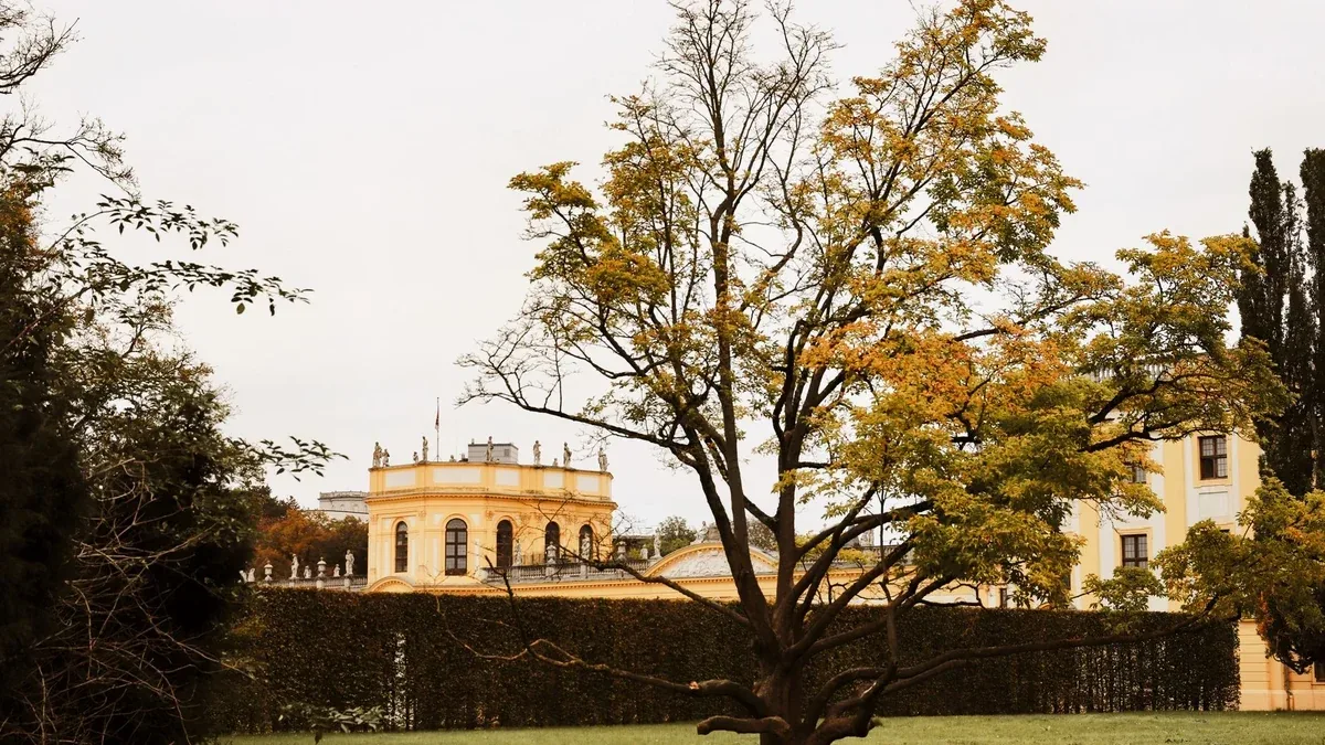 Un albero autunnale con la carta strappata: attività creativa