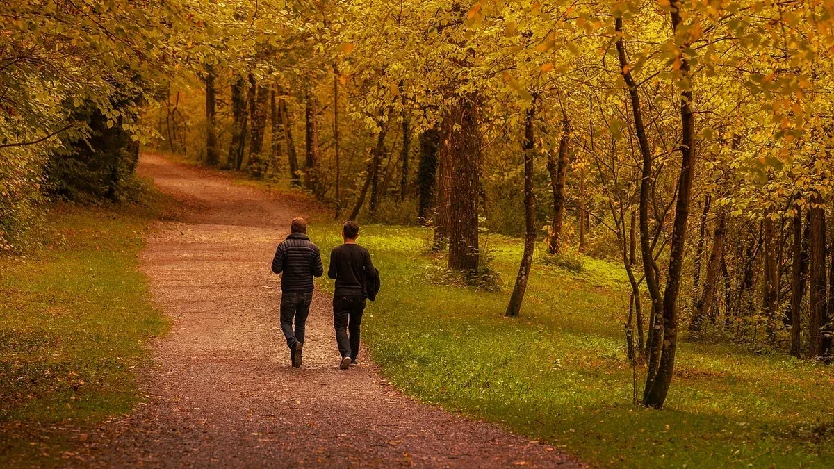 Una passeggiata al parco in autunno: giochi di osservazione in famiglia